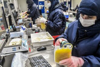 dia-mundial-da-hemofilia:-campanha-reforca-importancia-do-diagnostico