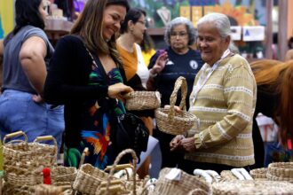 brasil-ja-tem-4,5-milhoes-de-empreendedores-da-economia-prateada