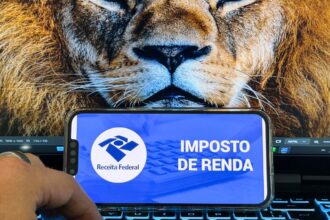 receita-abre-consulta-a-lote-da-malha-fina-do-imposto-de-renda