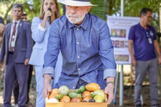 lula:-qualidade-do-agro-e-essencial-para-ampliar-exportacoes