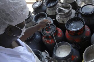 cmn-libera-linha-de-capital-de-giro-a-cooperativas-de-leite-no-pronaf