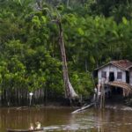 projeto-leva-tratamento-gratuito-a-doencas-negligenciadas-no-amazonas